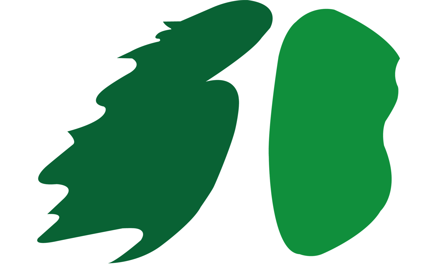 广东瀚森生物科技有限公司